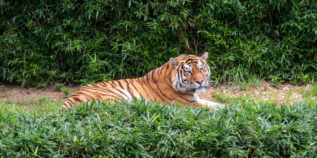 Friday at the&nbsp;Zoo