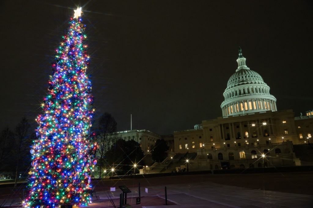 Christmas trees in the nation’s capital&nbsp;city